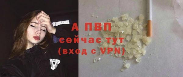 винт Гусев